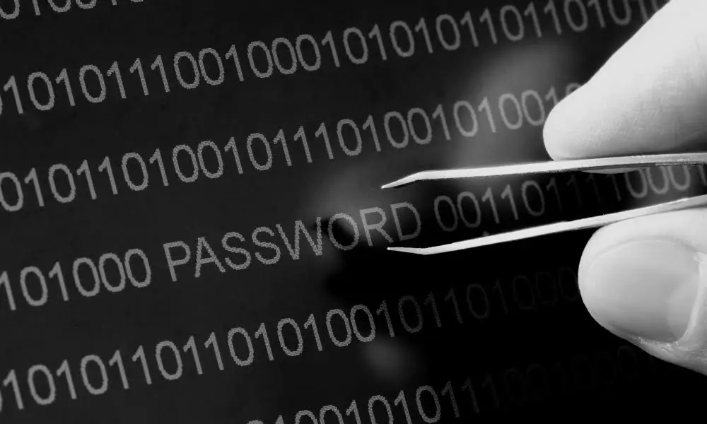 Newly discovered vulnerability affecting business-class routers and network security