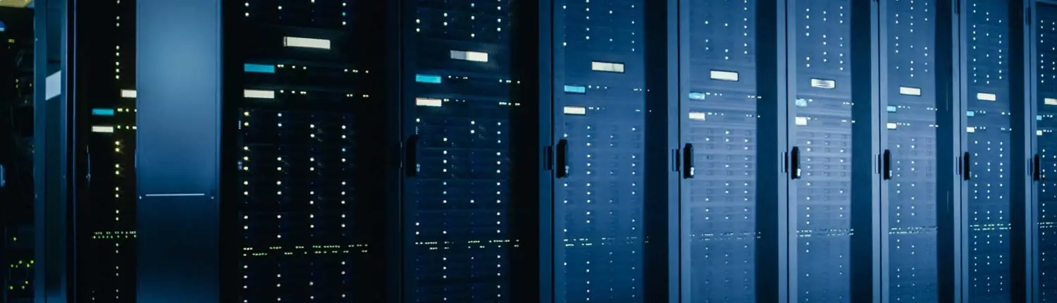 Business servers providing secure data storage, applications and network services